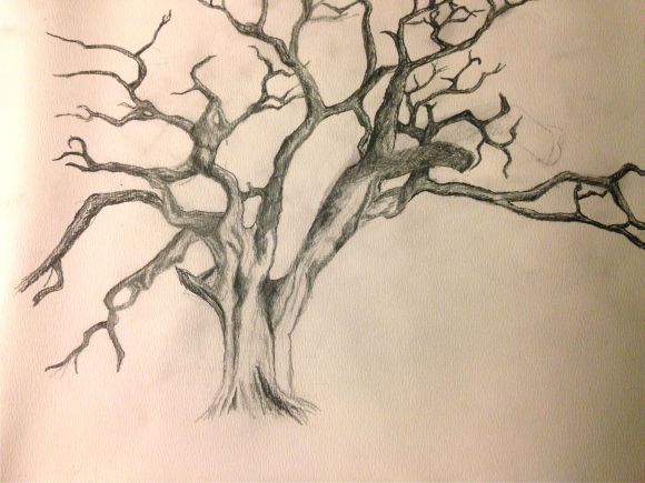 +14 Just another day