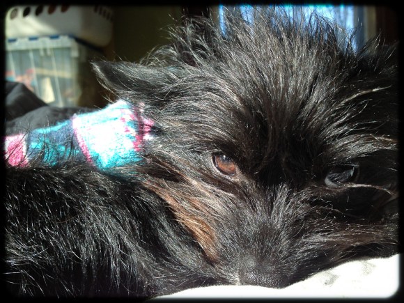 Tsuki, the tiny girl